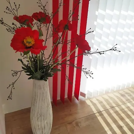 Apartmán Alpenblick Gastein - Inklusive Eintritt Alpentherme *