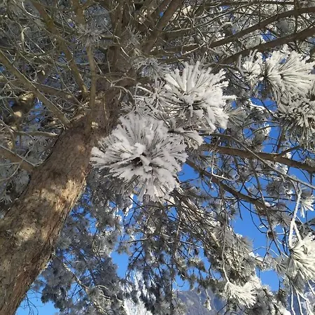 Alpenblick Gastein - Inklusive Eintritt Alpentherme Apartament *