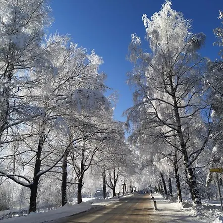 Alpenblick Gastein - Inklusive Eintritt Alpentherme Bad Hofgastein